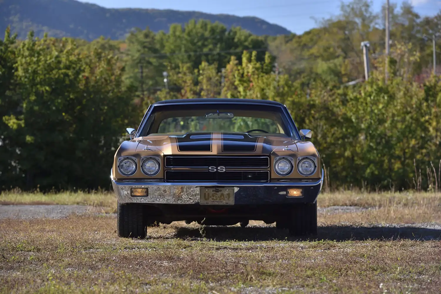 1970 Chevrolet Chevelle SS 396