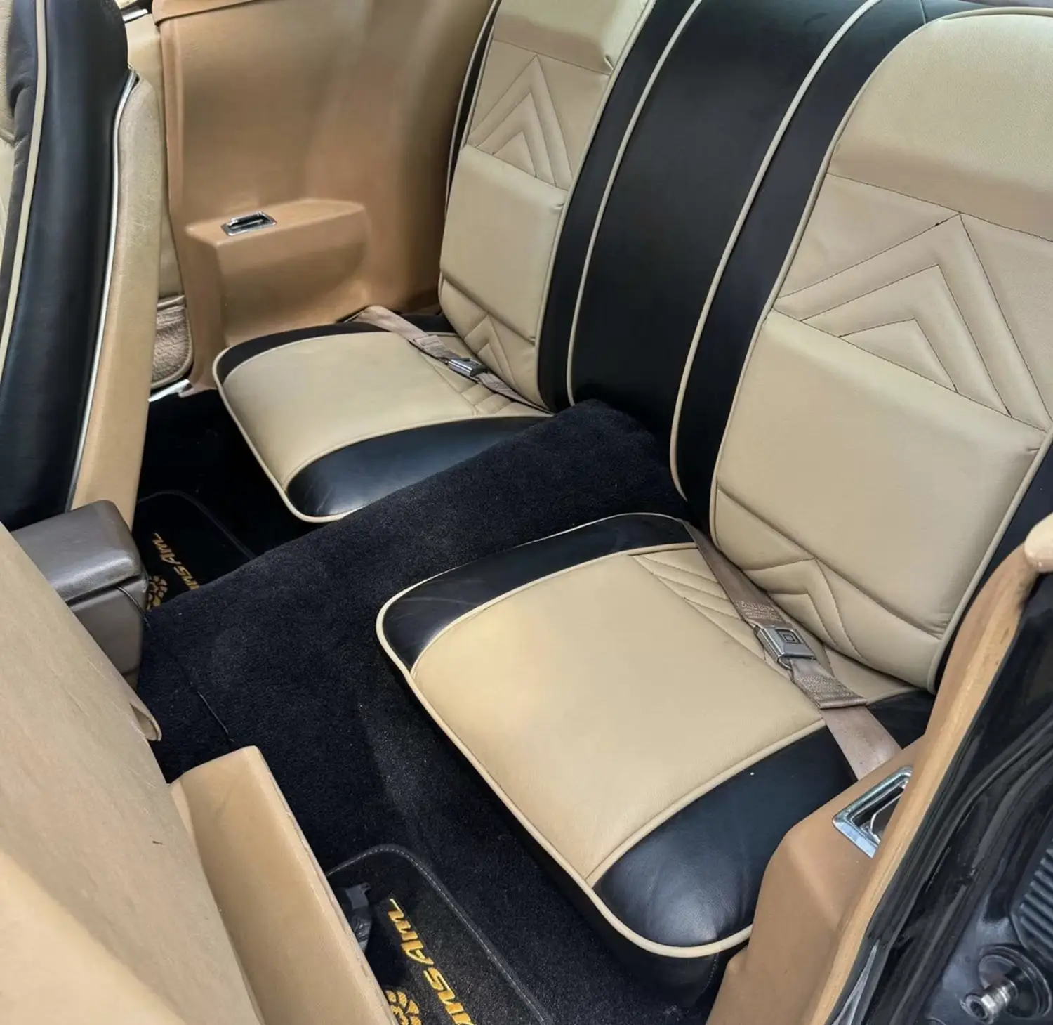 1981 Pontiac Trans Am SE