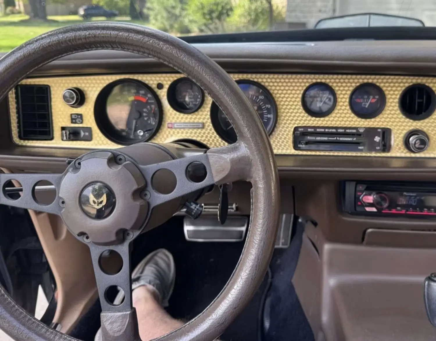 1981 Pontiac Trans Am SE