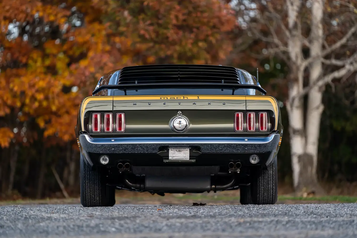 1969 Ford Mustang Mach 1 Fastback 1969 Ford Mustang Mach 1 Fastback