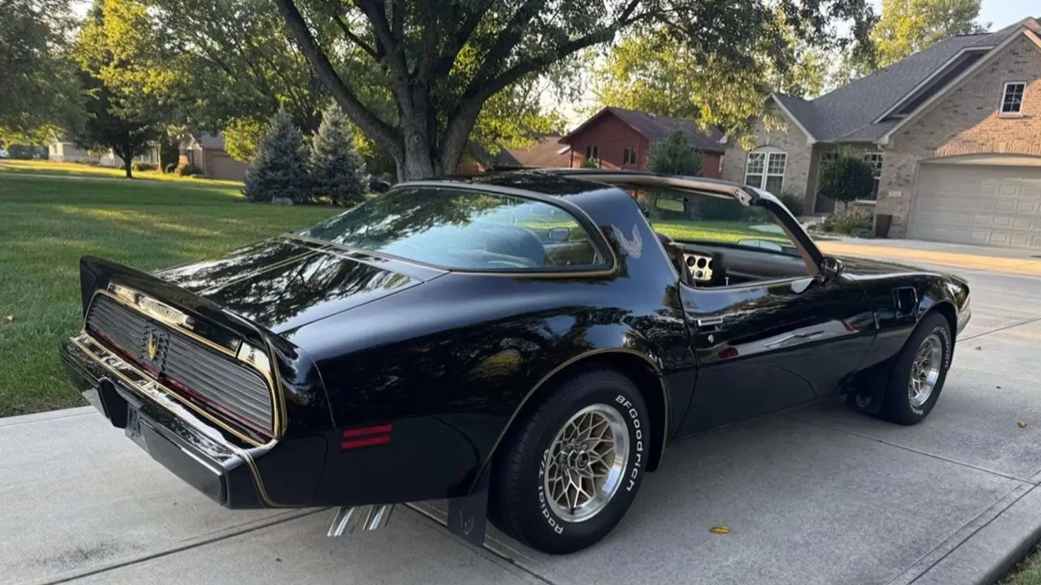 1981 Pontiac Trans Am SE
