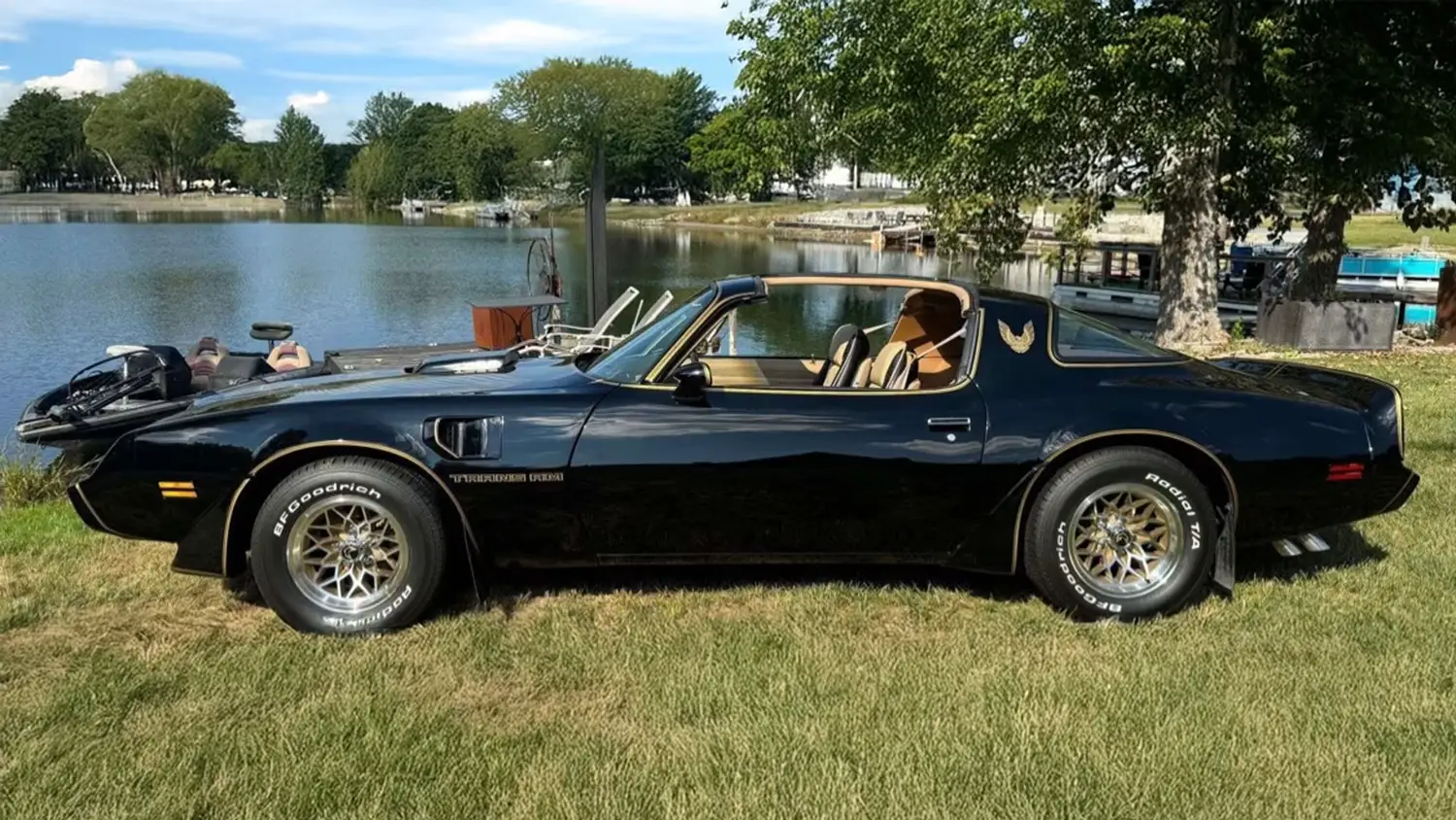 1981 Pontiac Trans Am SE
