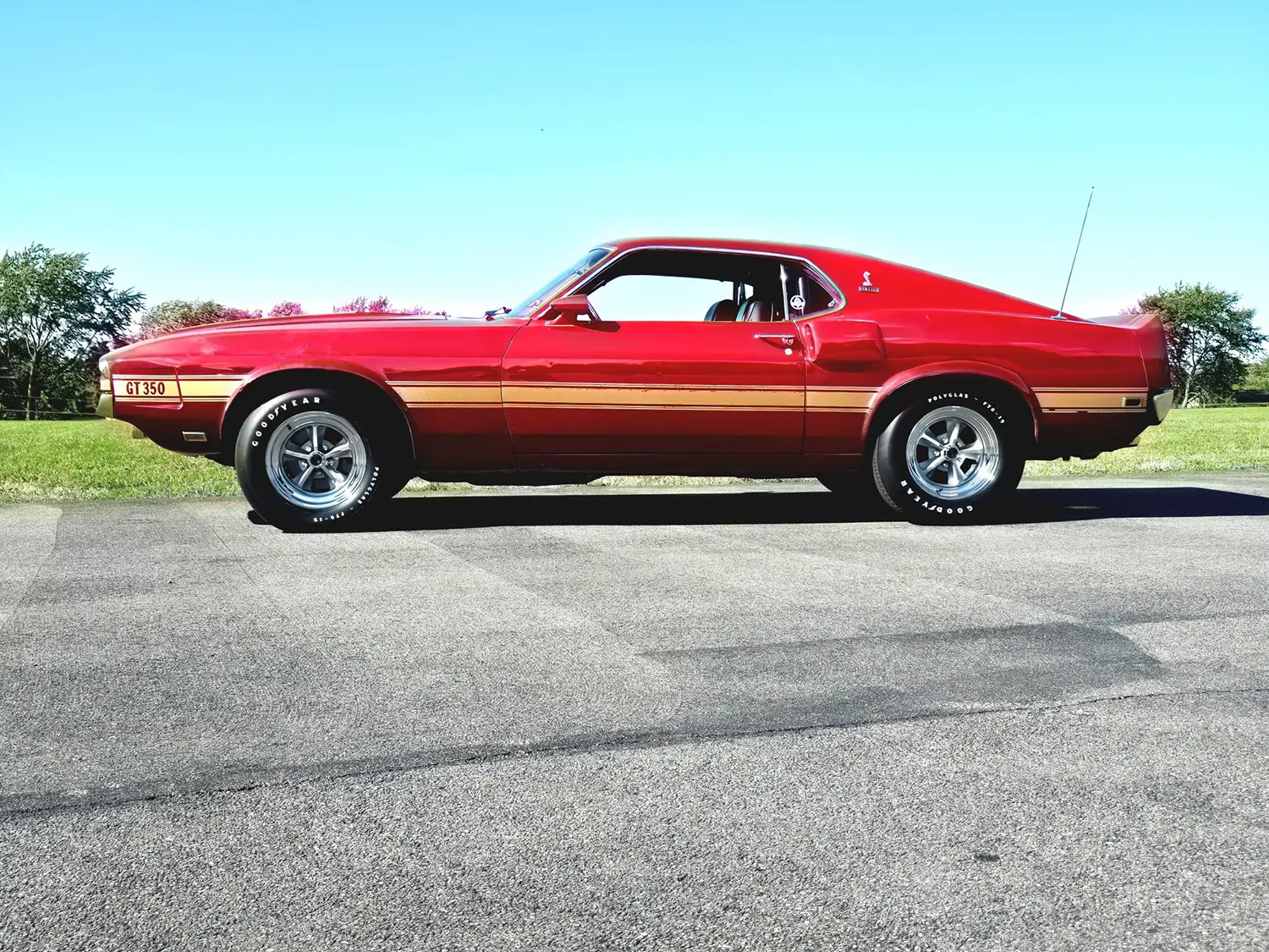 1969 Shelby GT350
