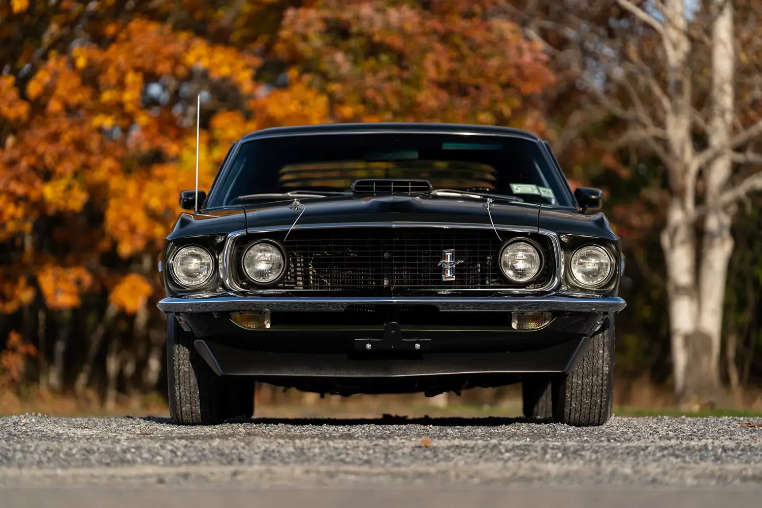 1969 Ford Mustang Mach 1 Fastback 1969 Ford Mustang Mach 1 Fastback