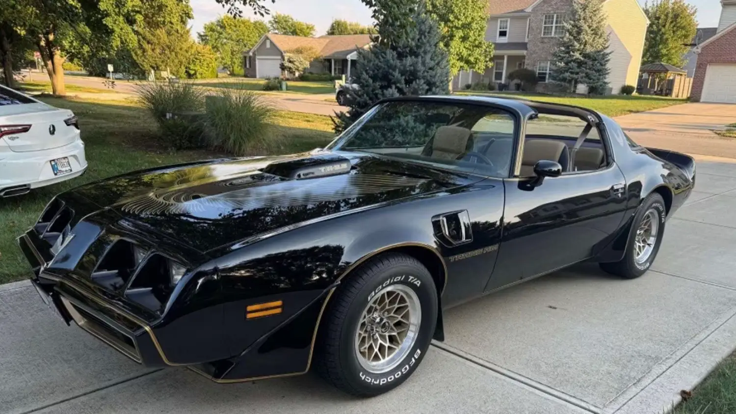 1981 Pontiac Trans Am SE