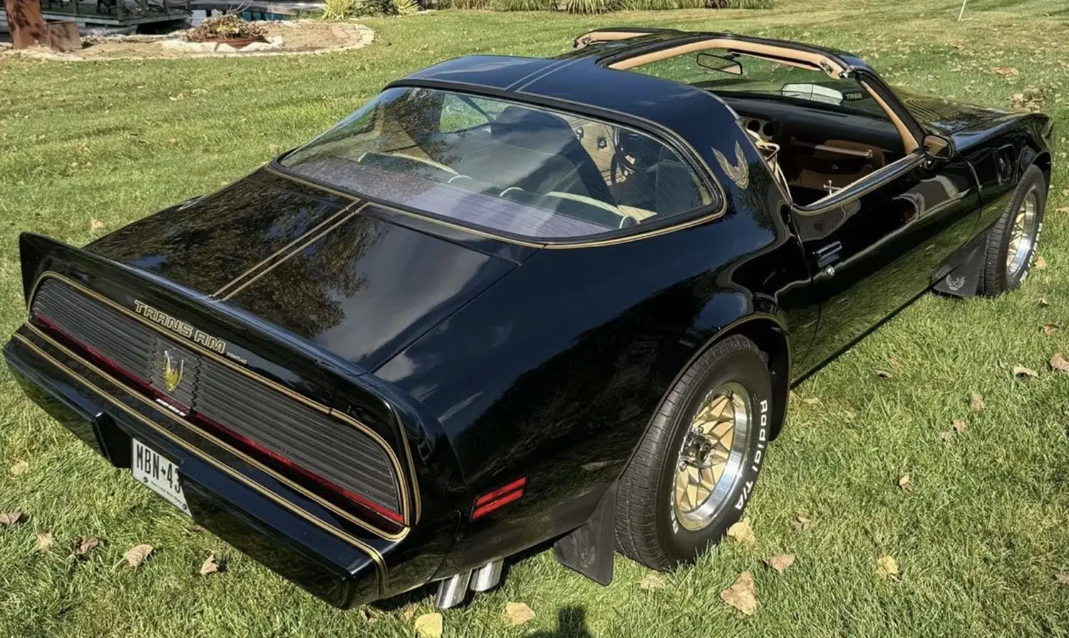 1981 Pontiac Trans Am SE