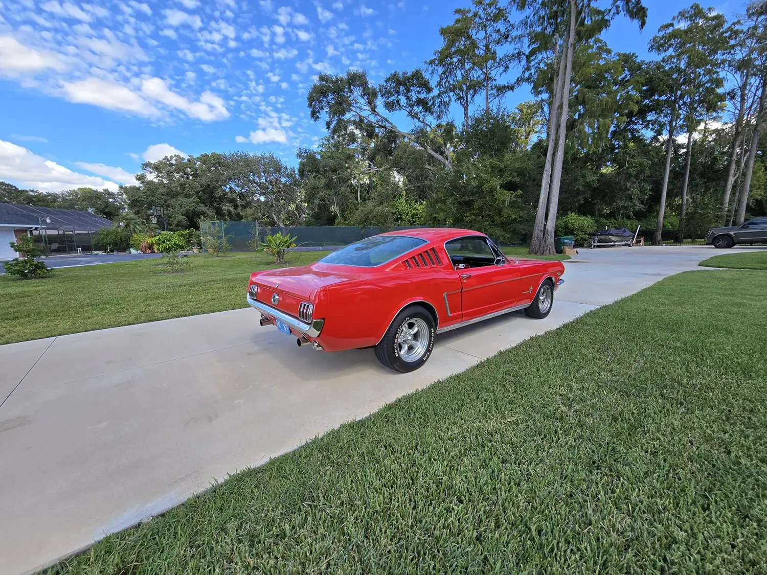 1965 Ford Mustang Fastback 1965 Ford Mustang Fastback