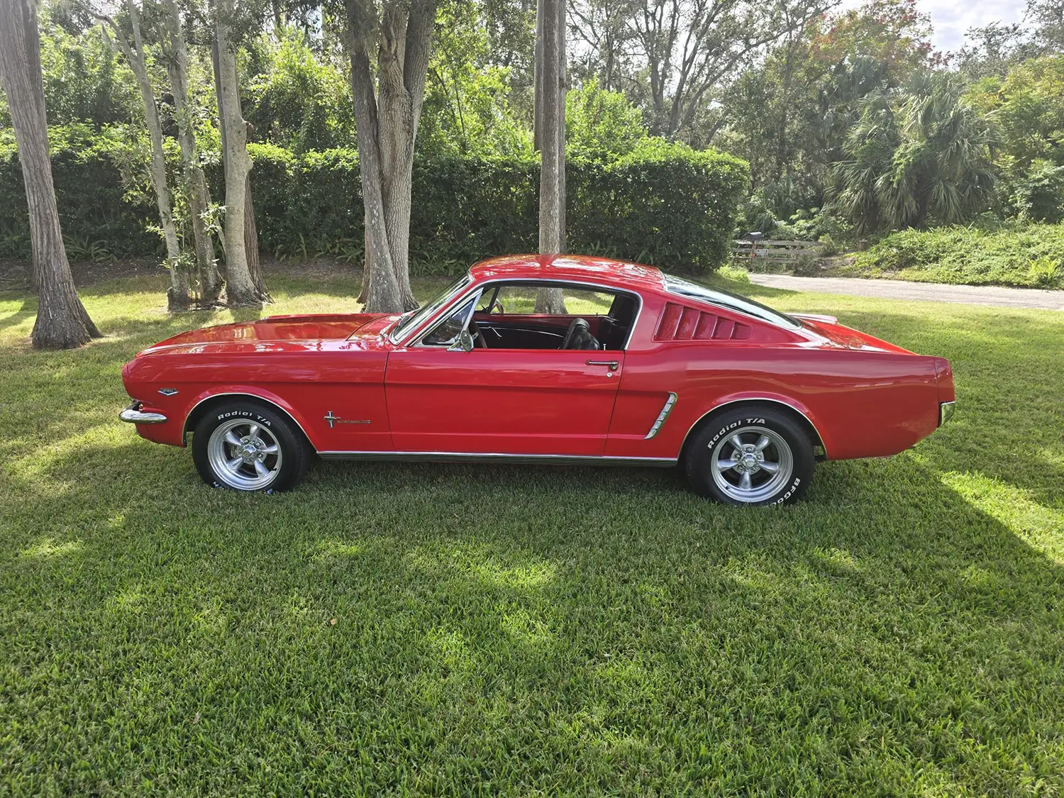 1965 Ford Mustang Fastback 1965 Ford Mustang Fastback