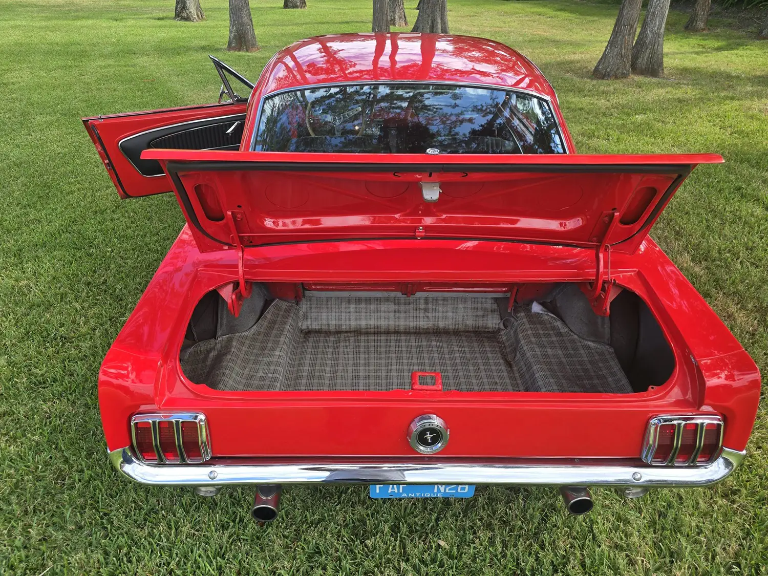 1965 Ford Mustang Fastback 1965 Ford Mustang Fastback