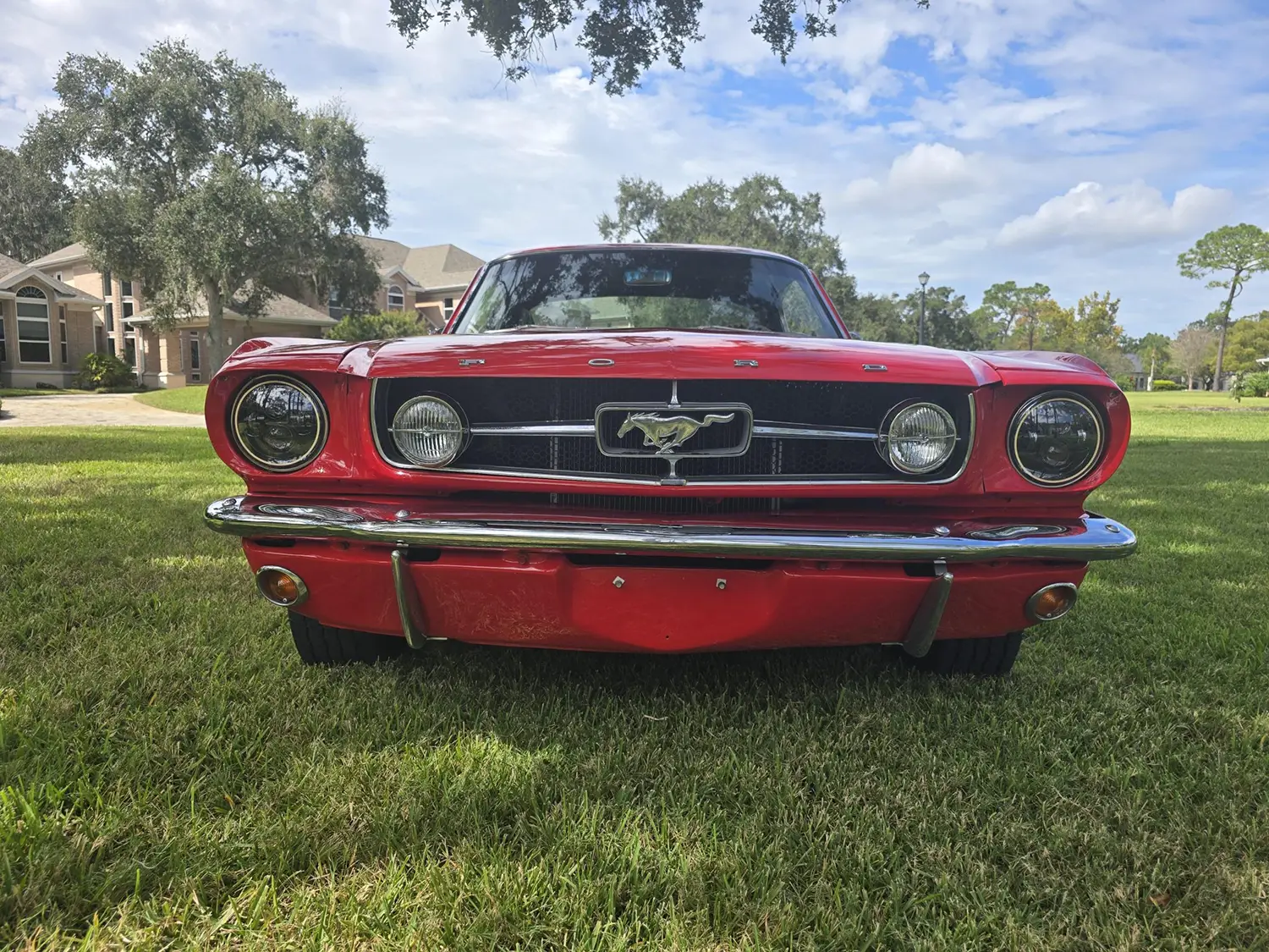 1965 Ford Mustang Fastback 1965 Ford Mustang Fastback