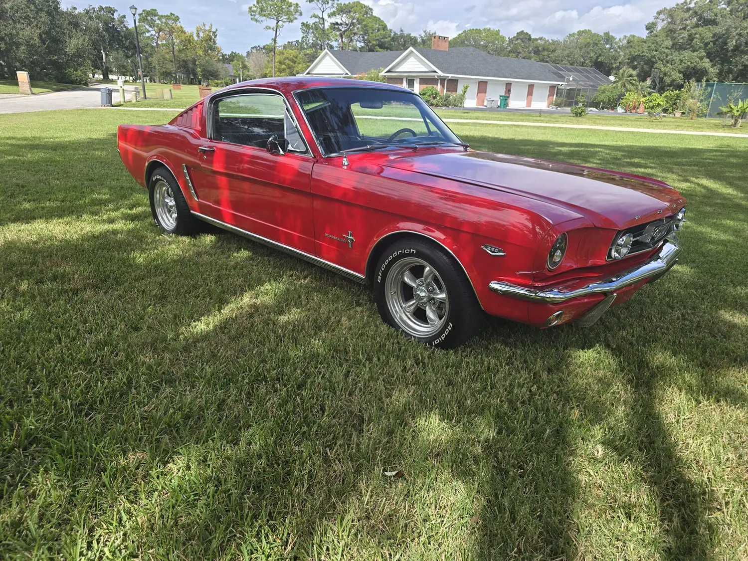 1965 Ford Mustang Fastback 1965 Ford Mustang Fastback