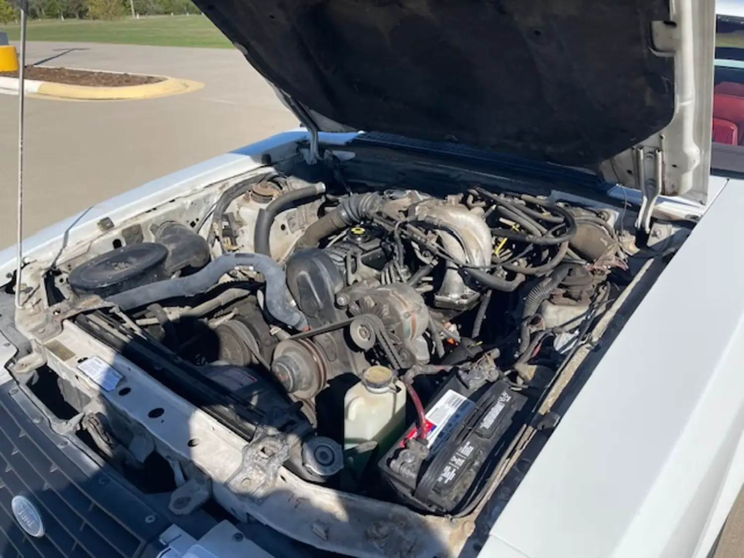 1984 Ford Mustang GT Turbo 1984 Ford Mustang GT Turbo