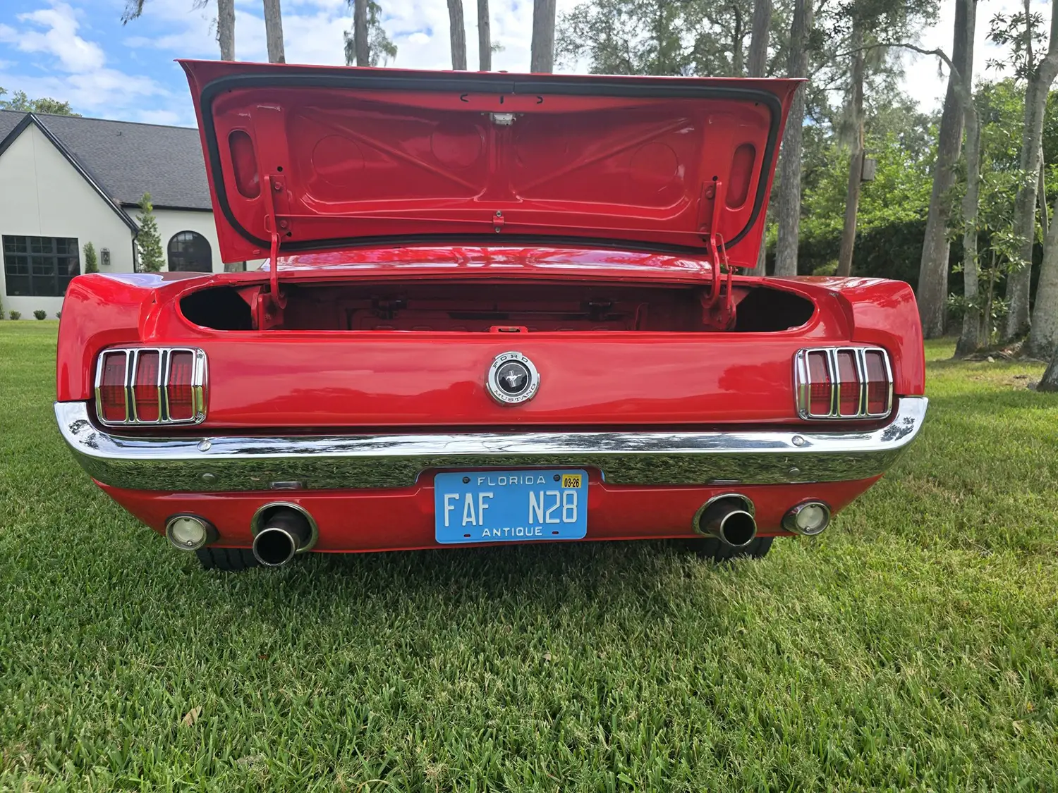 1965 Ford Mustang Fastback 1965 Ford Mustang Fastback