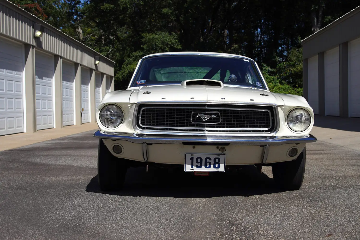 1968 Mustang Cobra Jet 135