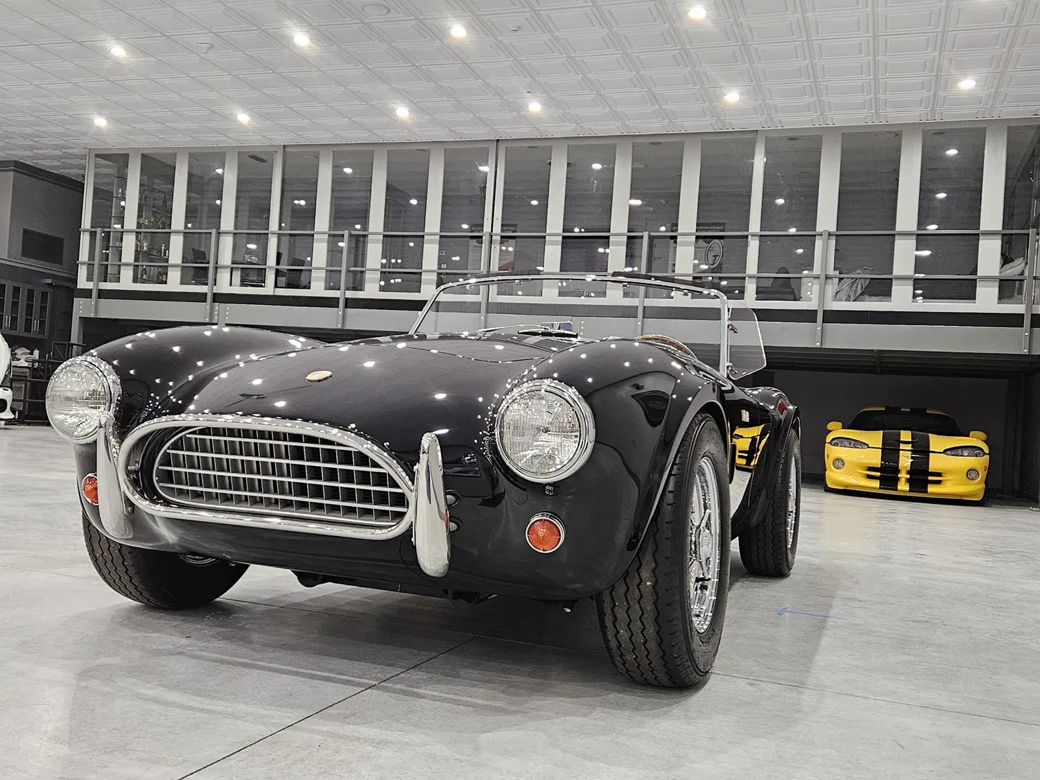 Shelby Cobra CSX8000 50th Anniversary Shelby Cobra CSX8000 50th Anniversary