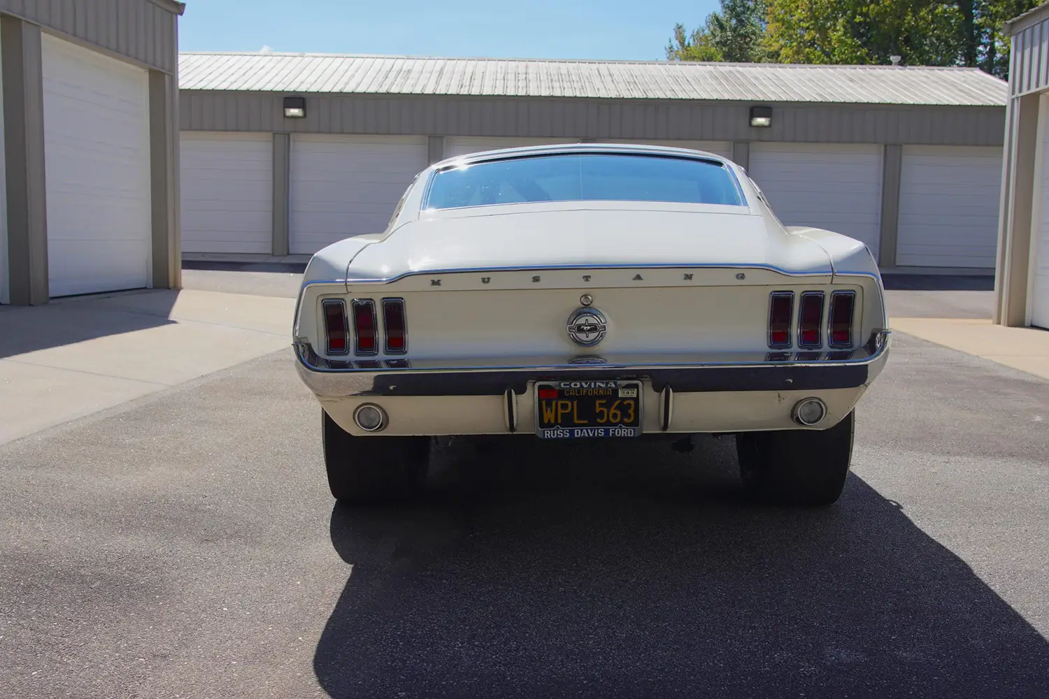 1968 Mustang Cobra Jet 135