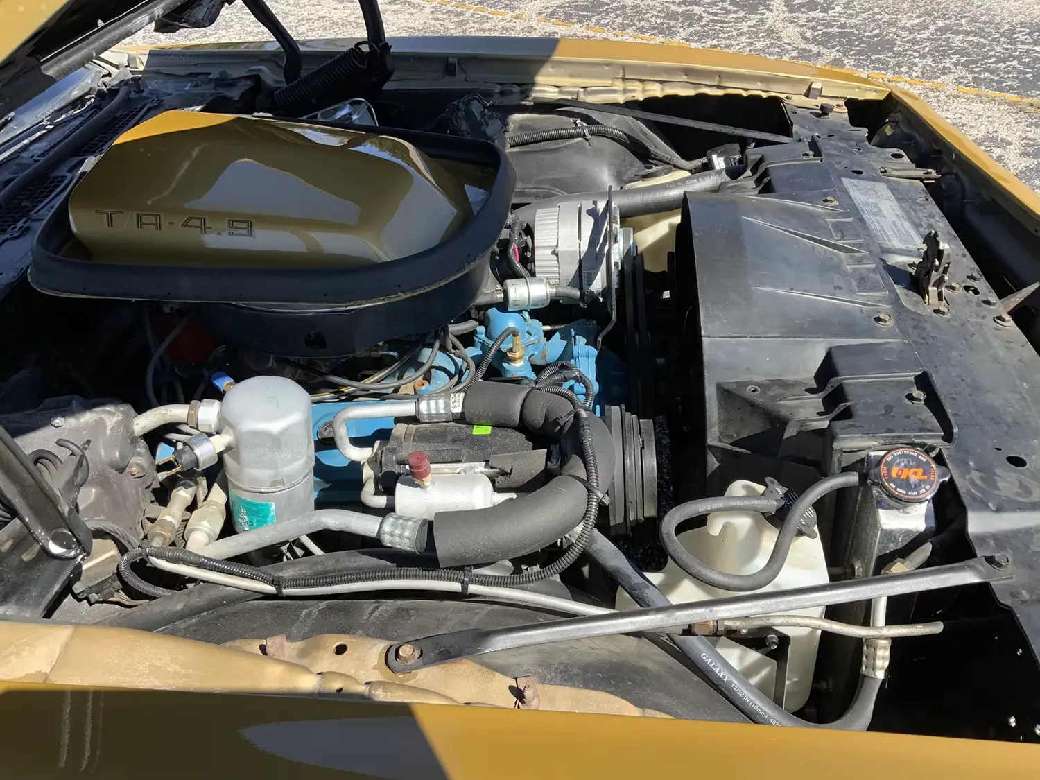 1979 Pontiac Trans Am