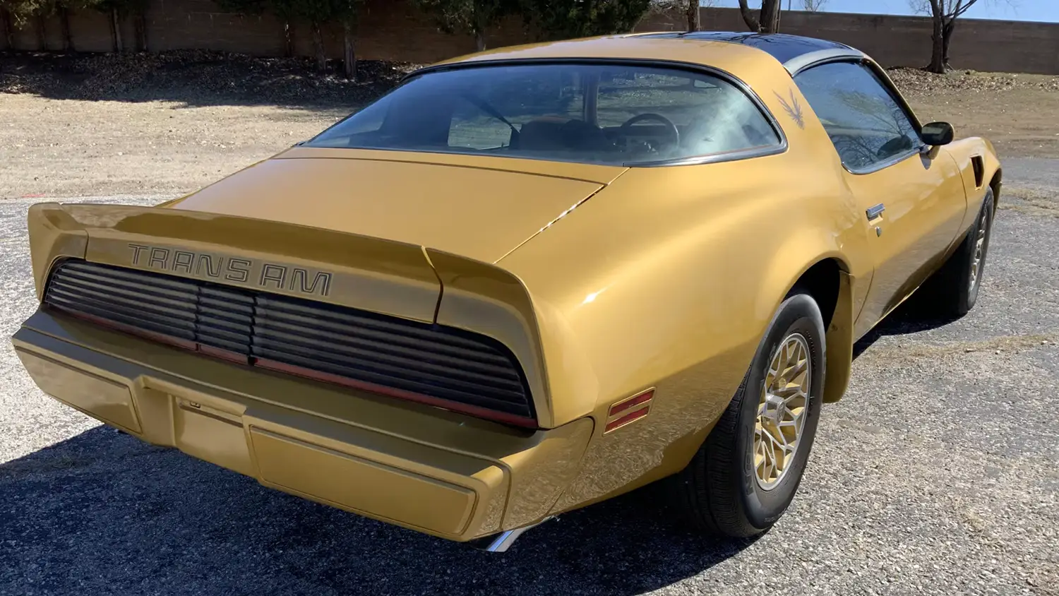1979 Pontiac Trans Am