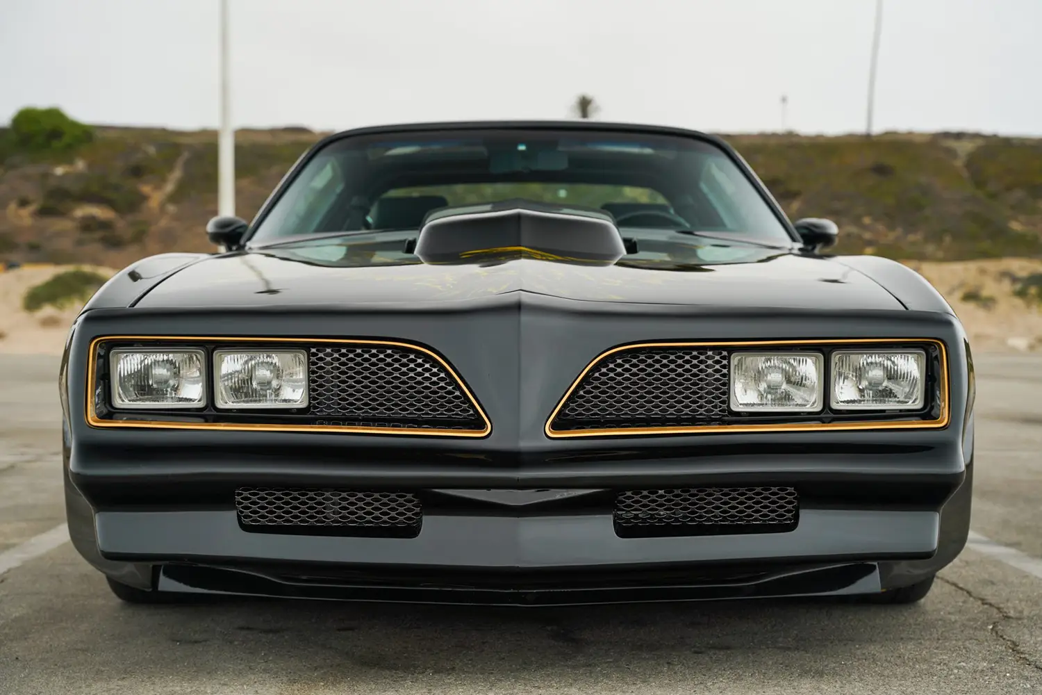 1978 Pontiac Firebird Trans Am