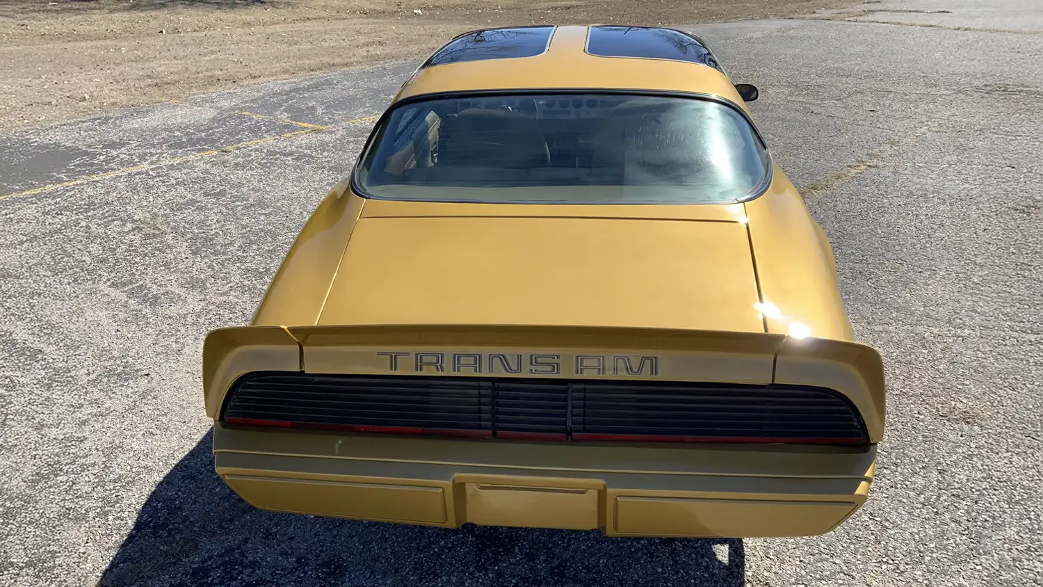 1979 Pontiac Trans Am
