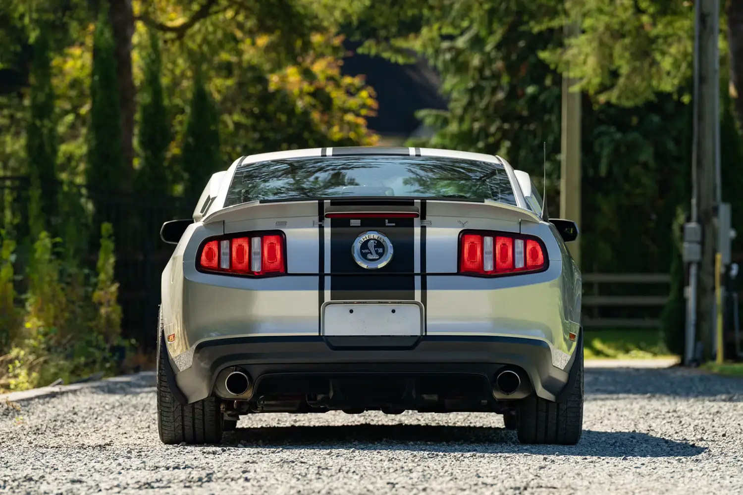 2010 Ford Shelby GT500 Super Snake