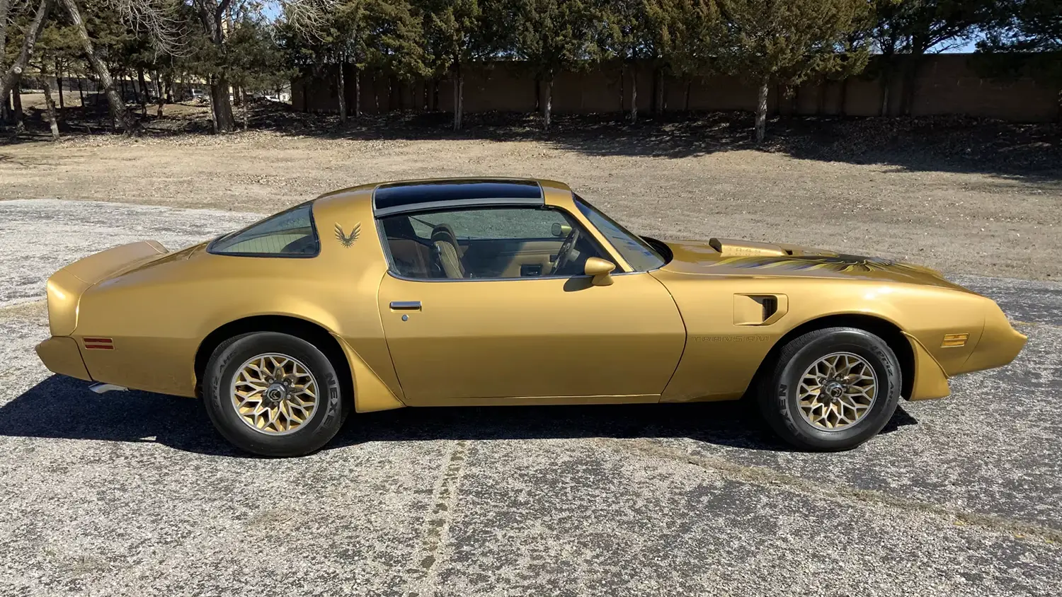 1979 Pontiac Trans Am