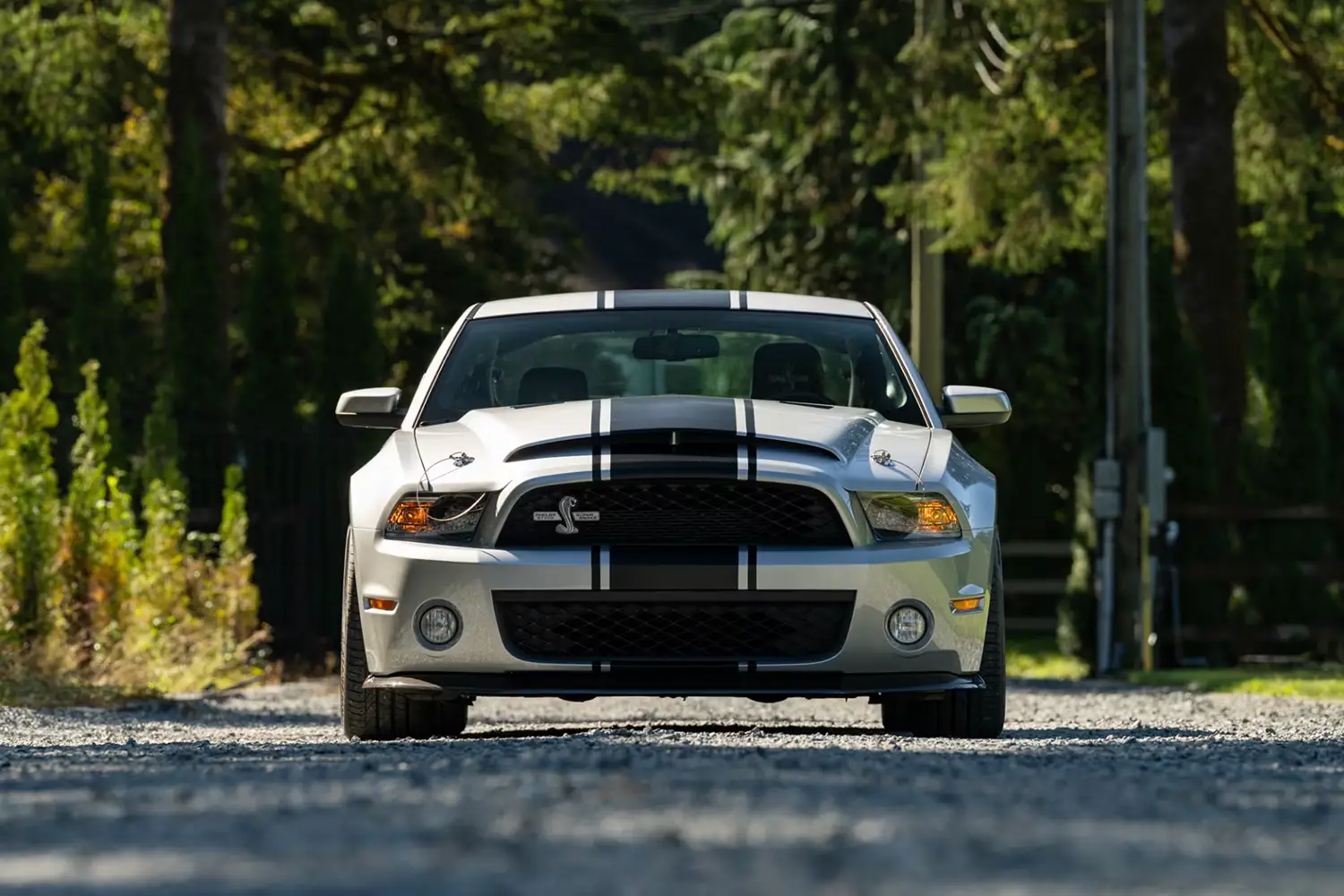 2010 Ford Shelby GT500 Super Snake