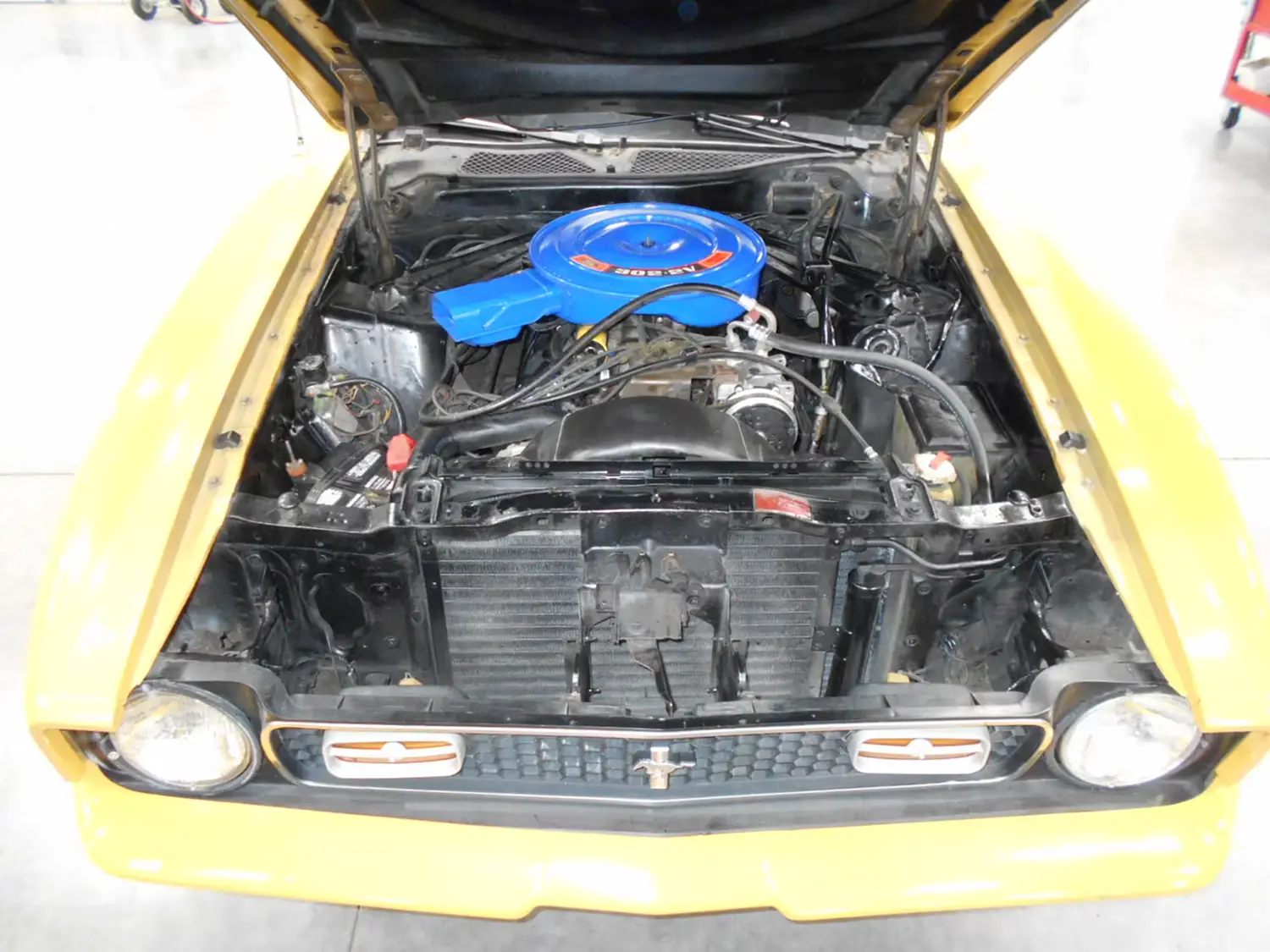 1971 Mustang Spring Special Coupe 1971 Mustang Spring Special Coupe