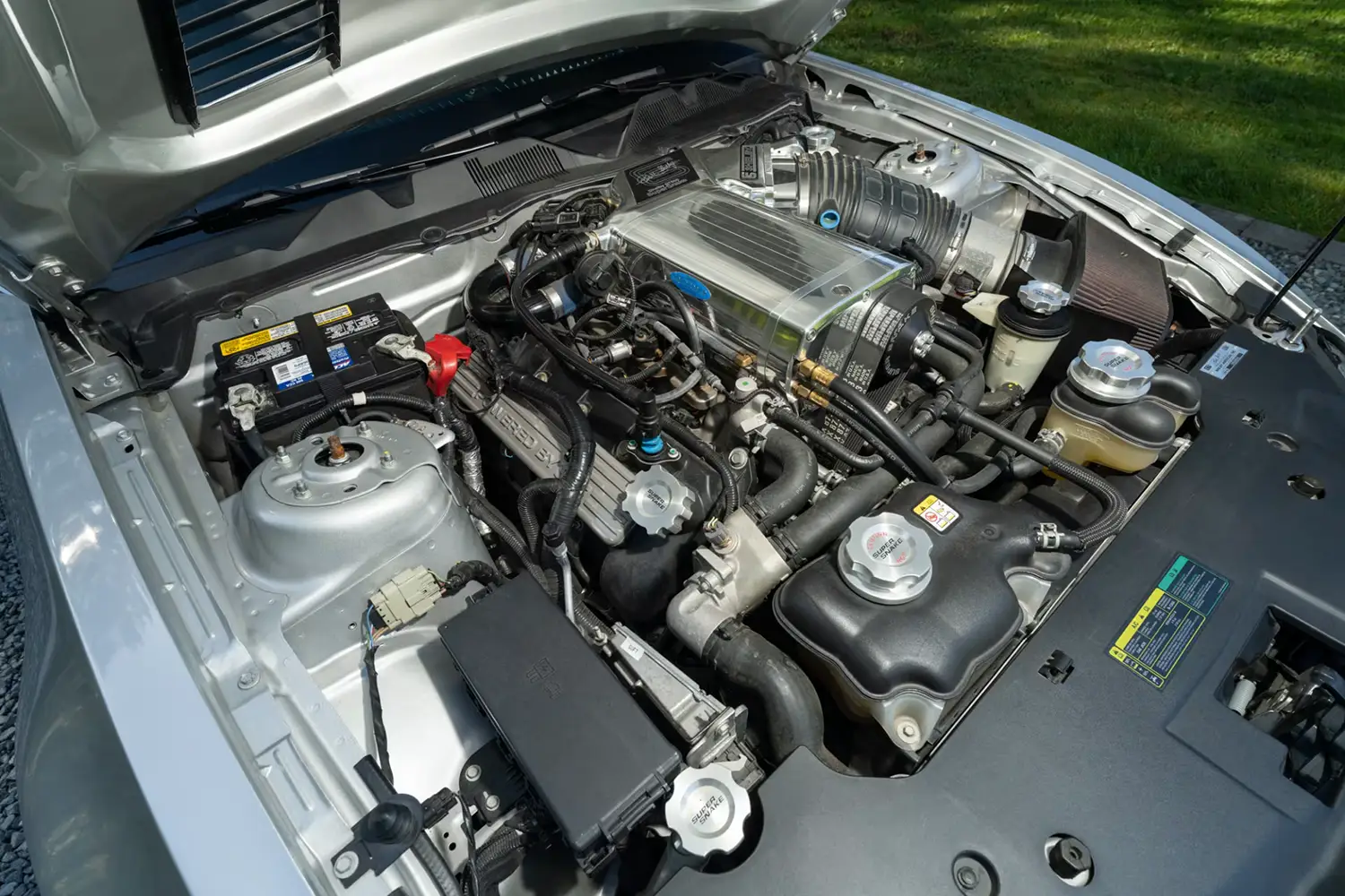 2010 Ford Shelby GT500 Super Snake