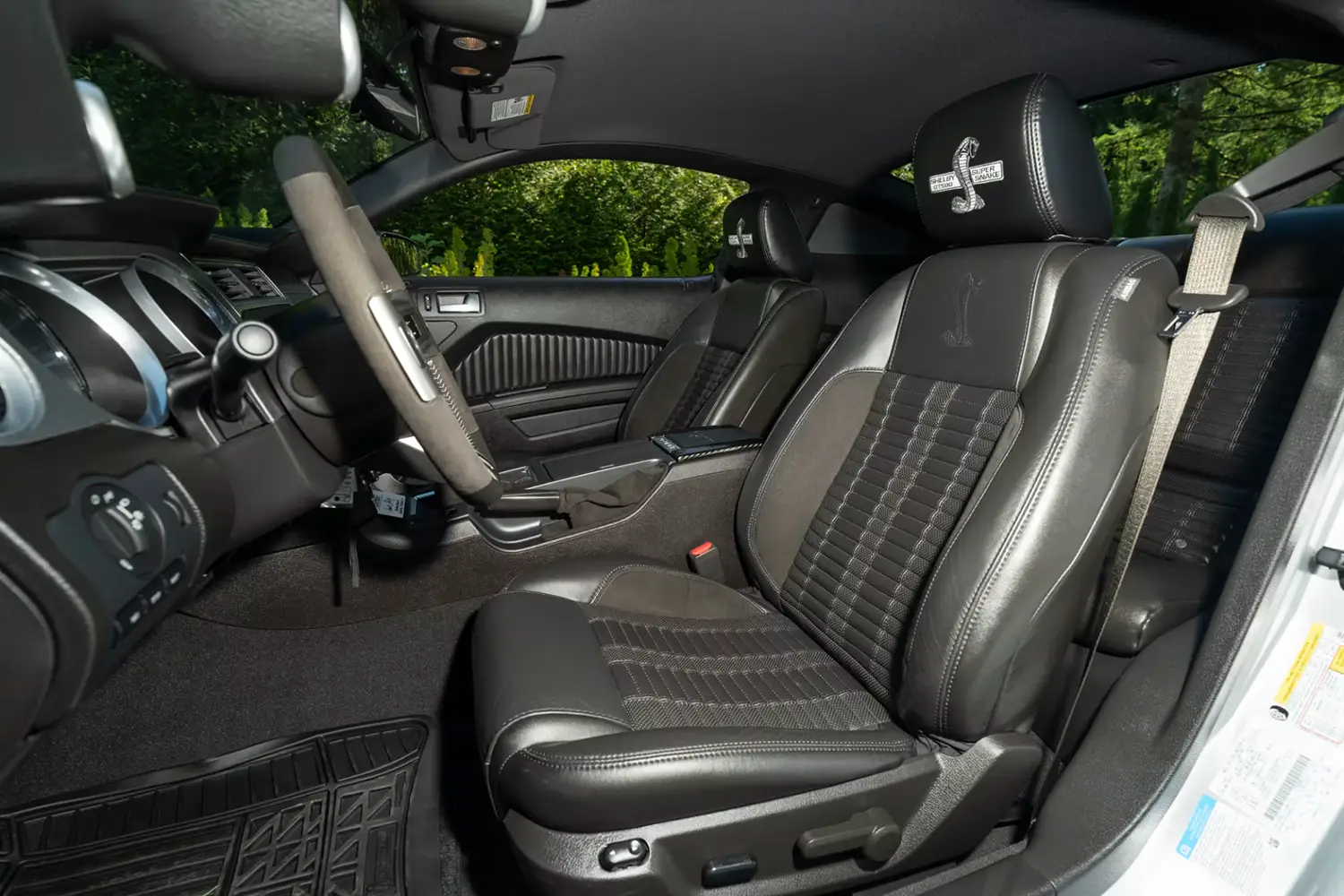 2010 Ford Shelby GT500 Super Snake