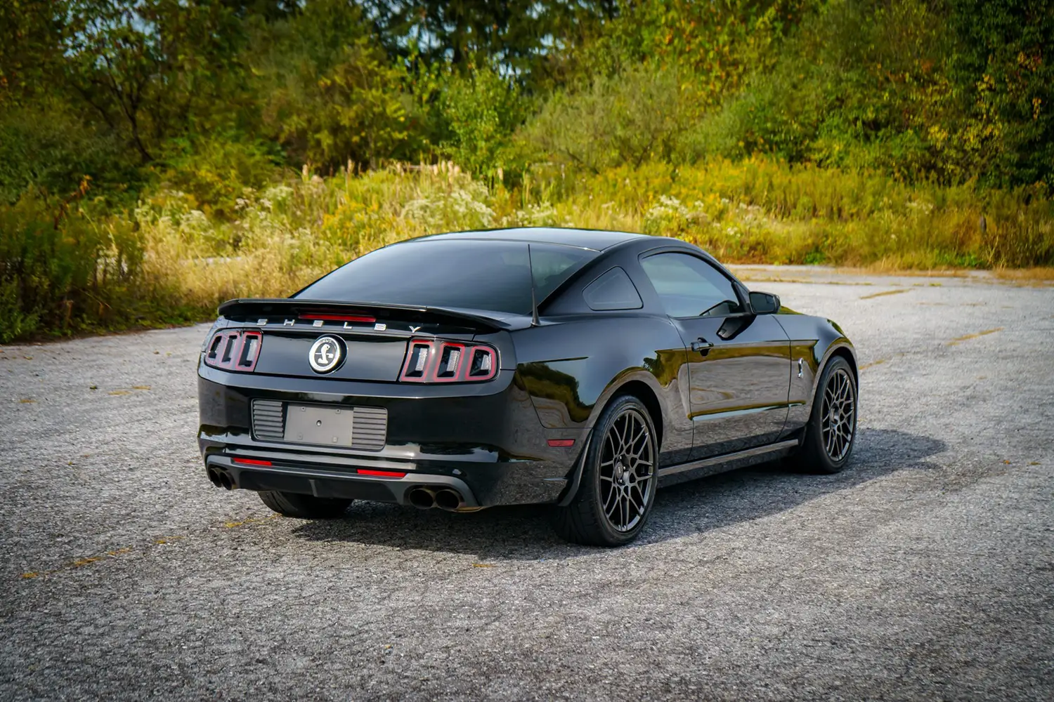 2013 Ford Mustang Shelby GT500 2013 Ford Mustang Shelby GT500