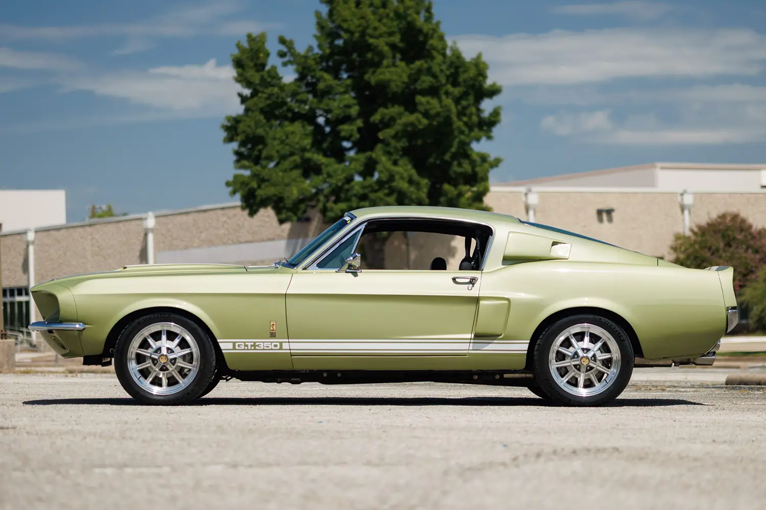 Shelby Mustang GT350 Fastback by Revology