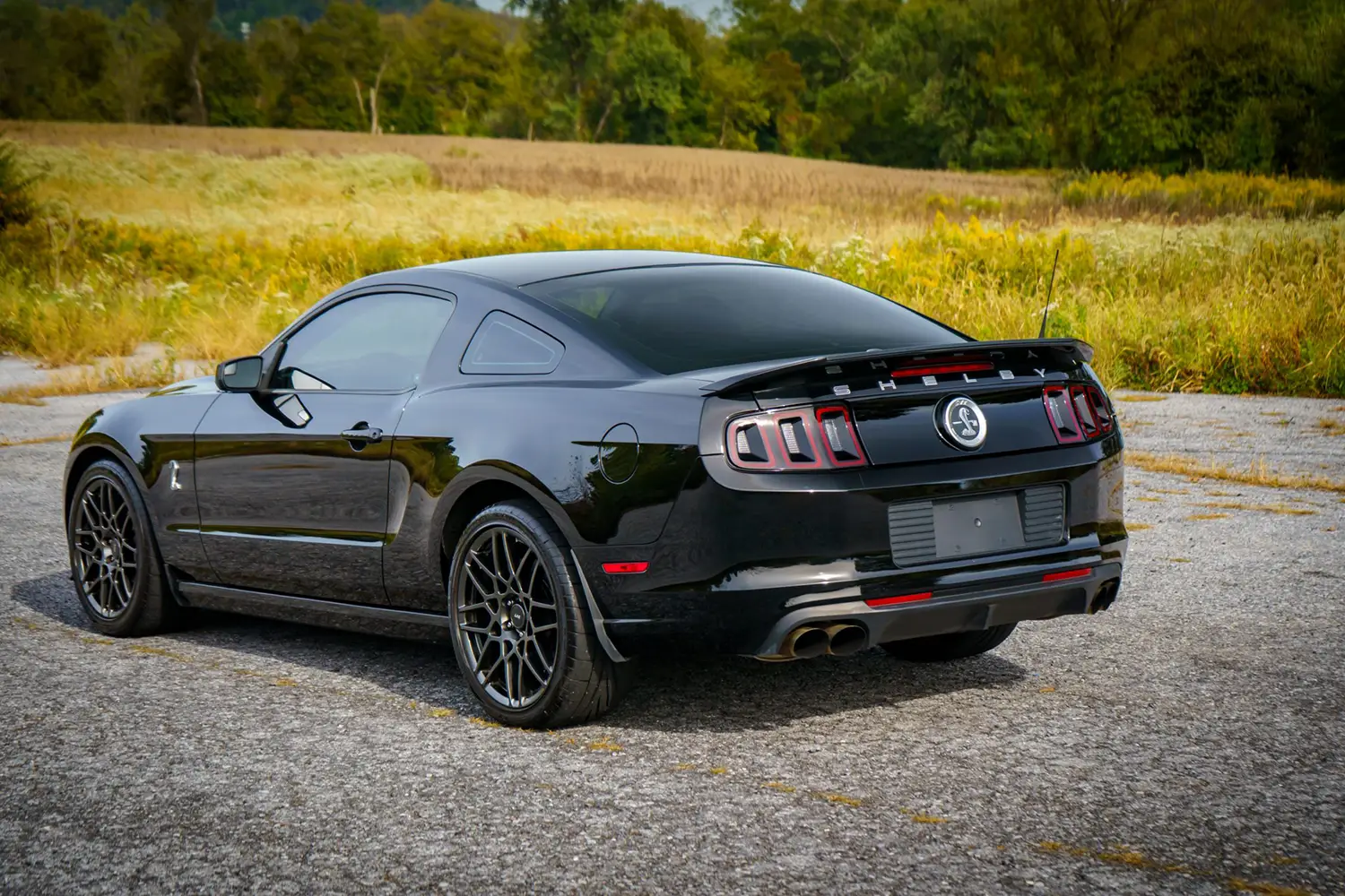 2013 Ford Mustang Shelby GT500 2013 Ford Mustang Shelby GT500