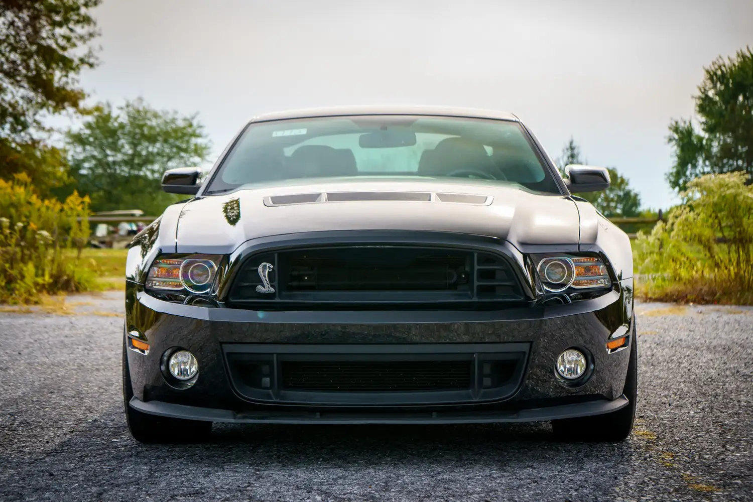 2013 Ford Mustang Shelby GT500 2013 Ford Mustang Shelby GT500