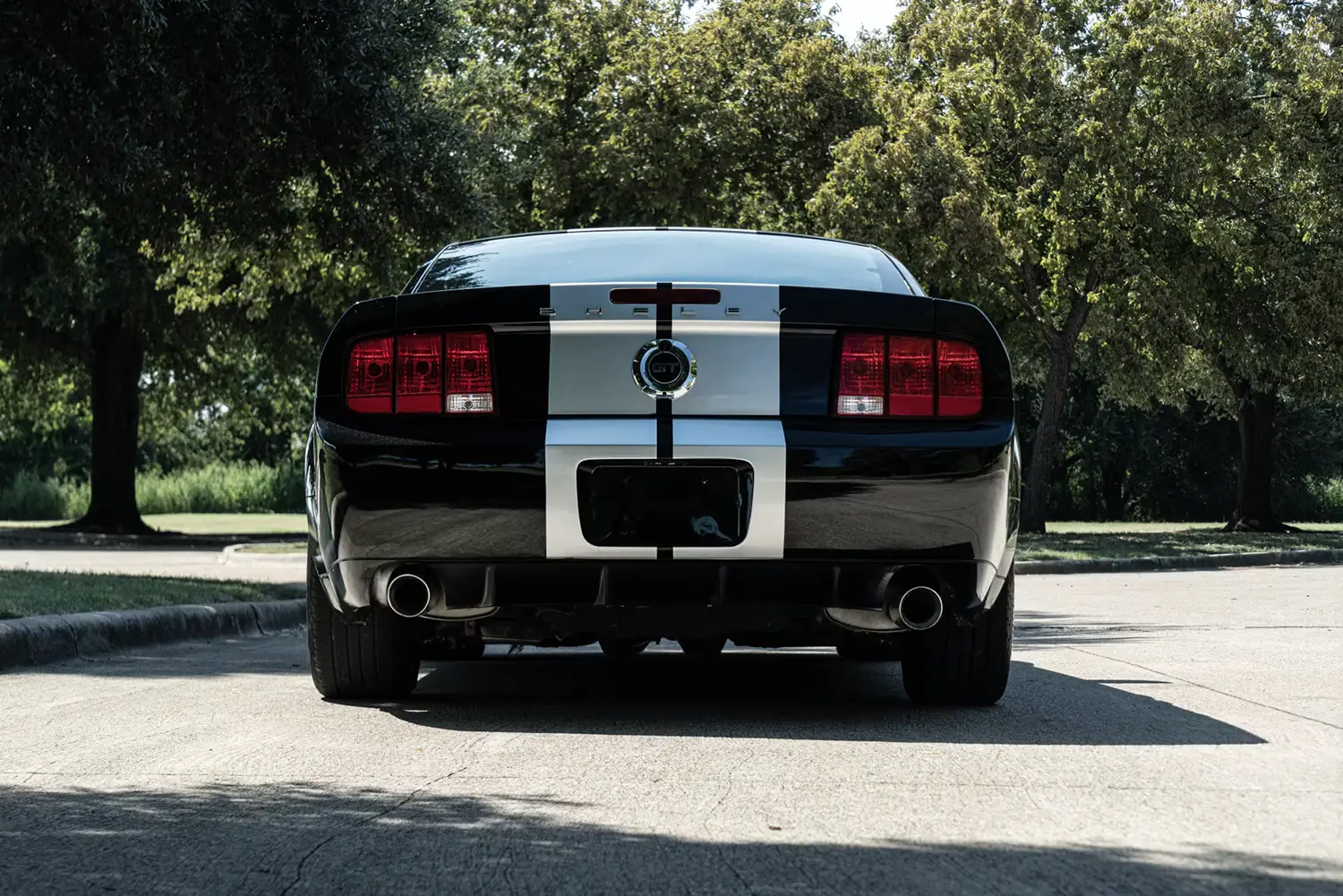 2007 Ford Mustang Shelby GT 2007 Ford Mustang Shelby GT