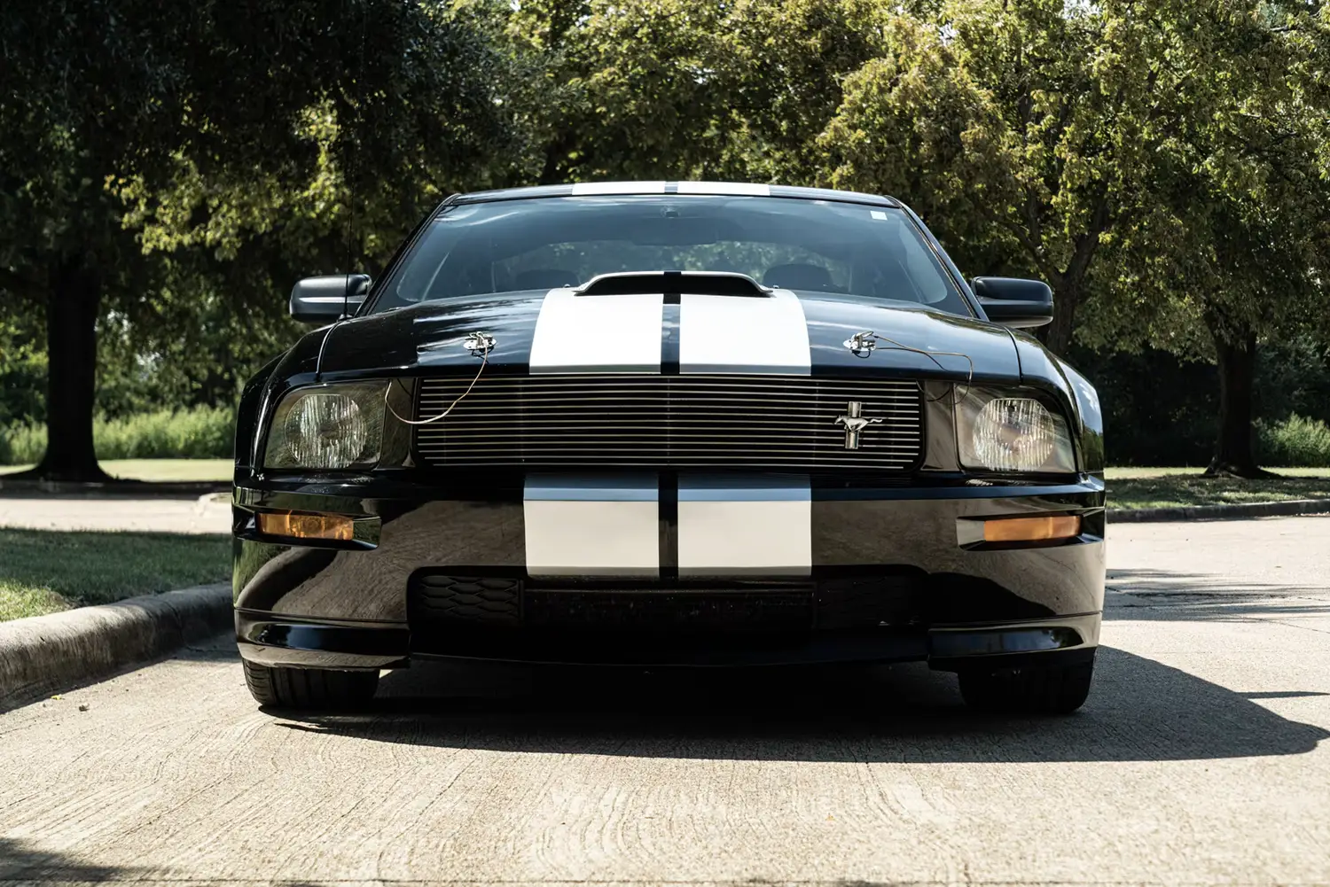 2007 Ford Mustang Shelby GT 2007 Ford Mustang Shelby GT