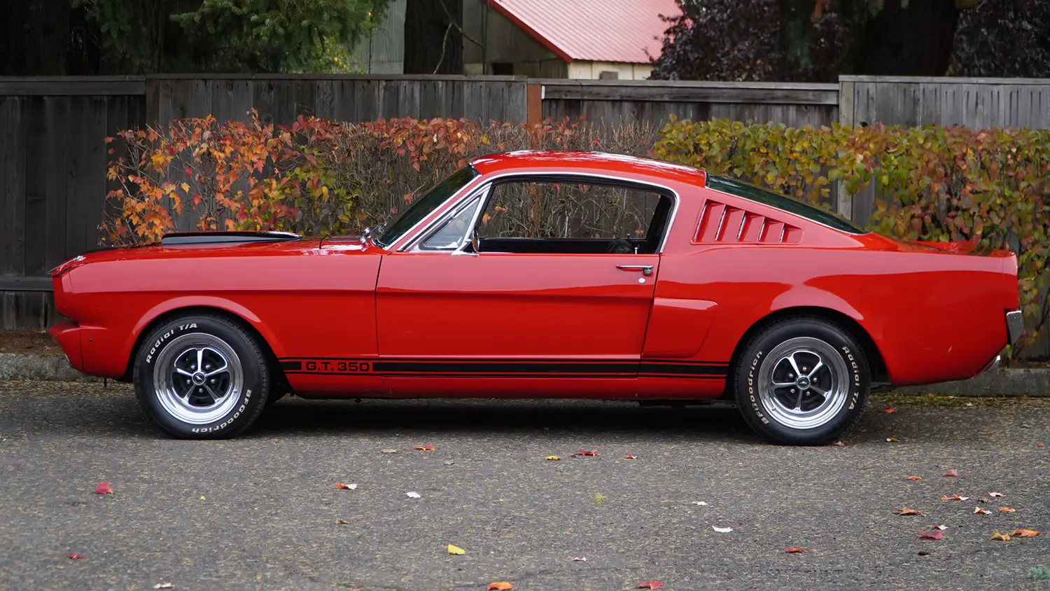 1965 Ford Mustang Fastback 1965 Ford Mustang Fastback