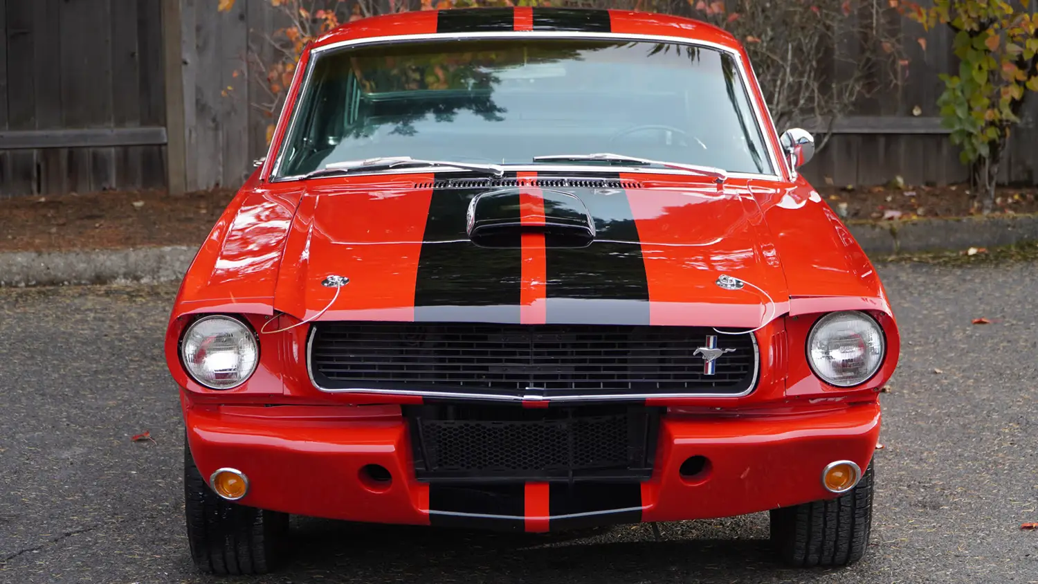 1965 Ford Mustang Fastback 1965 Ford Mustang Fastback