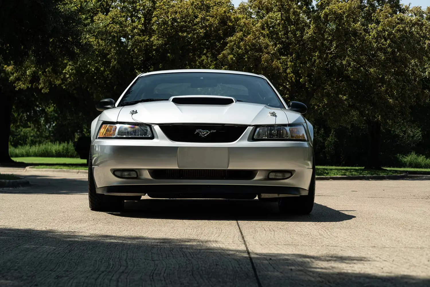 2000 Ford Mustang 2000 Ford Mustang